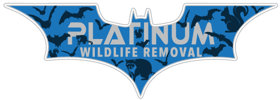 Battle Animal Removal LLC